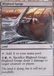 Blighted Gorge front